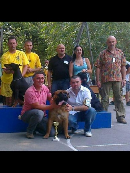 CH. Flash Du Sang Magnifique - BOG 3 - 3eme PLACE DU 2eme GROUPE