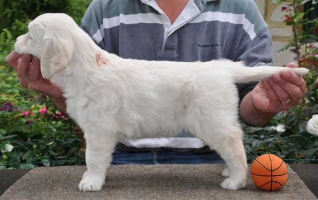 Publication : De La Forêt Des Sources Auteur : M. Michel OLIVER