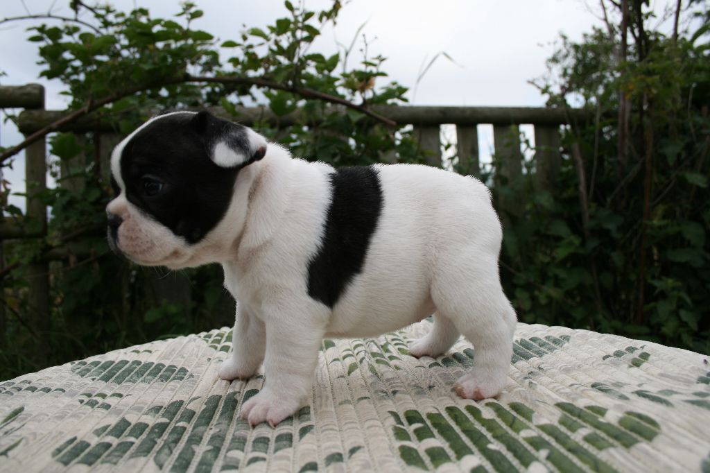 Uguette l'intrépide