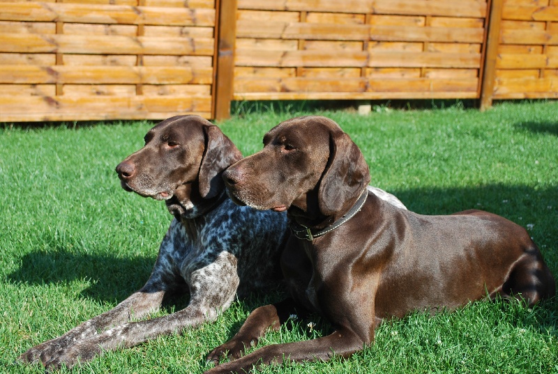 Ukase de la vallée des dunes
