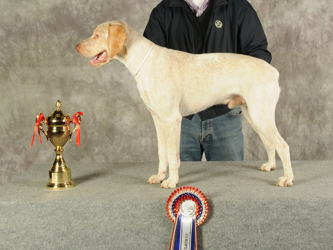 Publication : de la Croix d'Angouleme