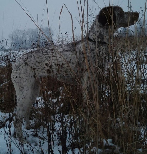 Publication : de la Croix d'Angouleme