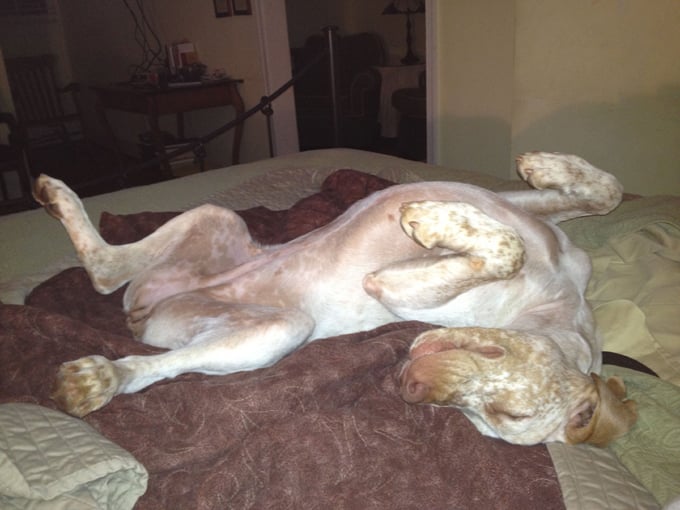 Genié de la Croix d'Angouleme