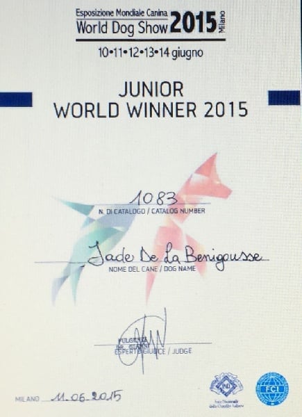 Publication : de la Croix d'Angouleme