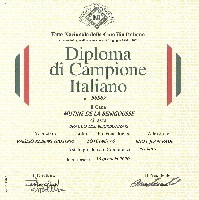 Étalon Braque du Bourbonnais - TR. CH. Mutine De la benigousse