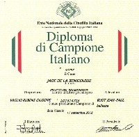 Étalon Braque du Bourbonnais - TR. CH. Jade De la benigousse