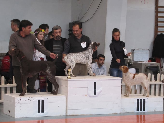 CH. Chanis du puech del mus