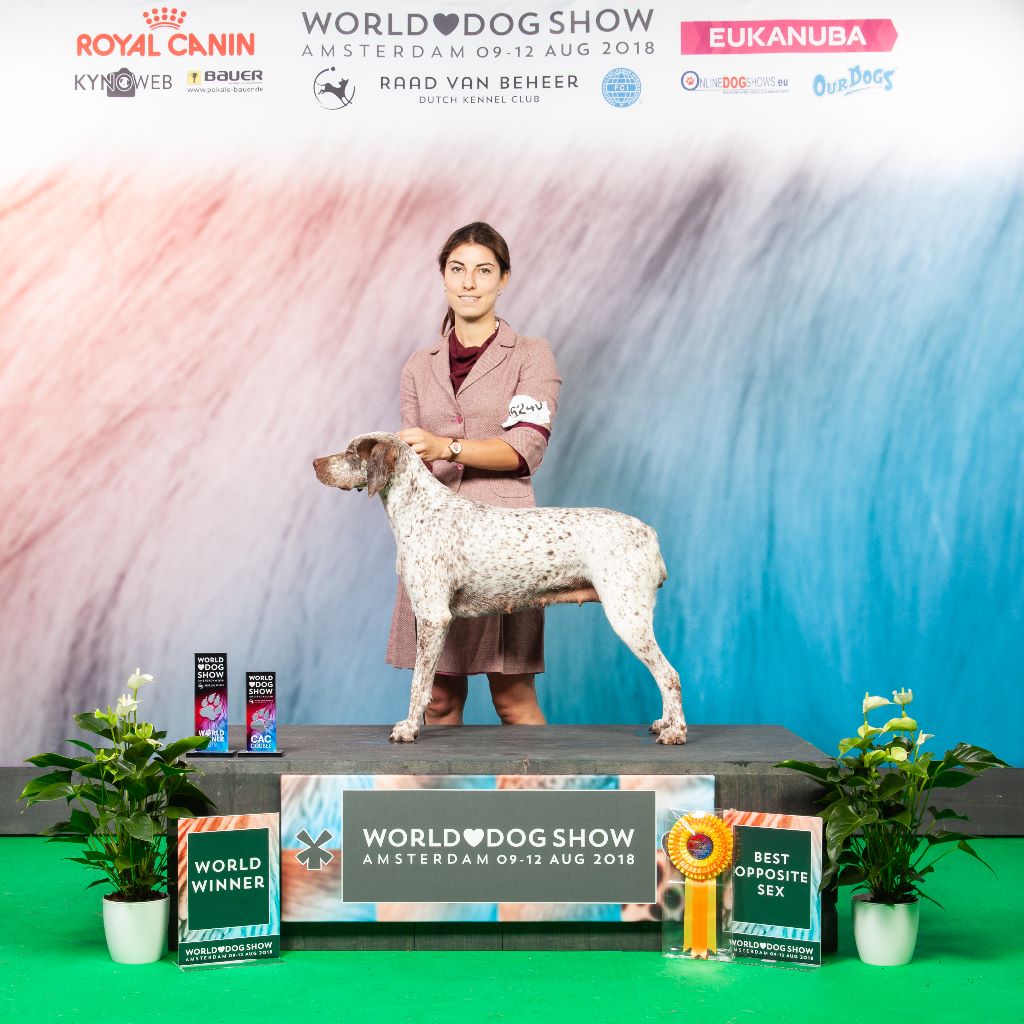 TR. CH. Jade De la benigousse - CTF 1° Exc CAC CACIB Meilleur Femelle Champion Du Monde