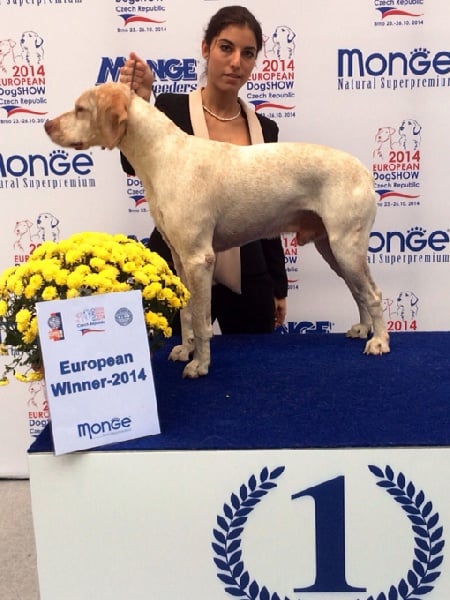 CH. Ethan Des peuts prés - CCM 1° Exc. CAC CACIB CHAMPION d'EUROPE