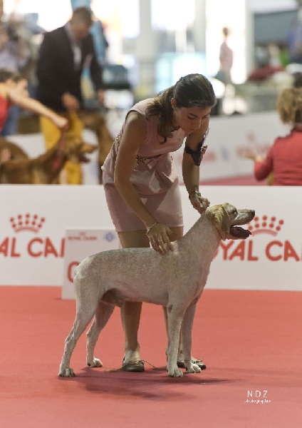 CH. Ethan Des peuts prés - CCM 2° Exc.