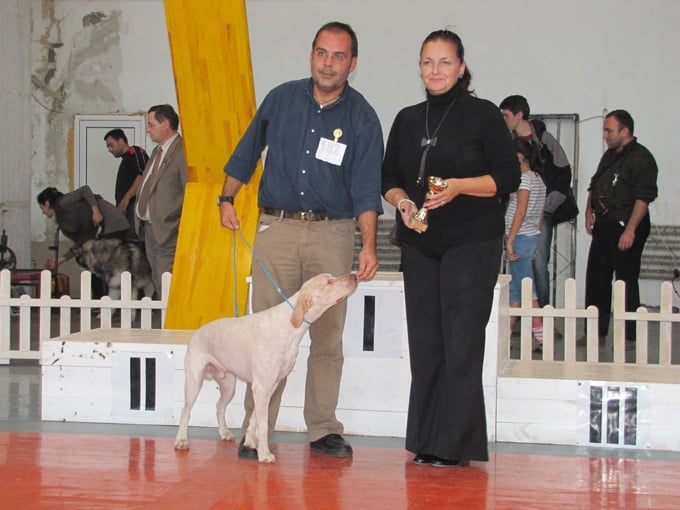 CH. Ethan Des peuts prés - COM 1° Exc. CAC CACIB BOB Meilleur de 7° Groupe