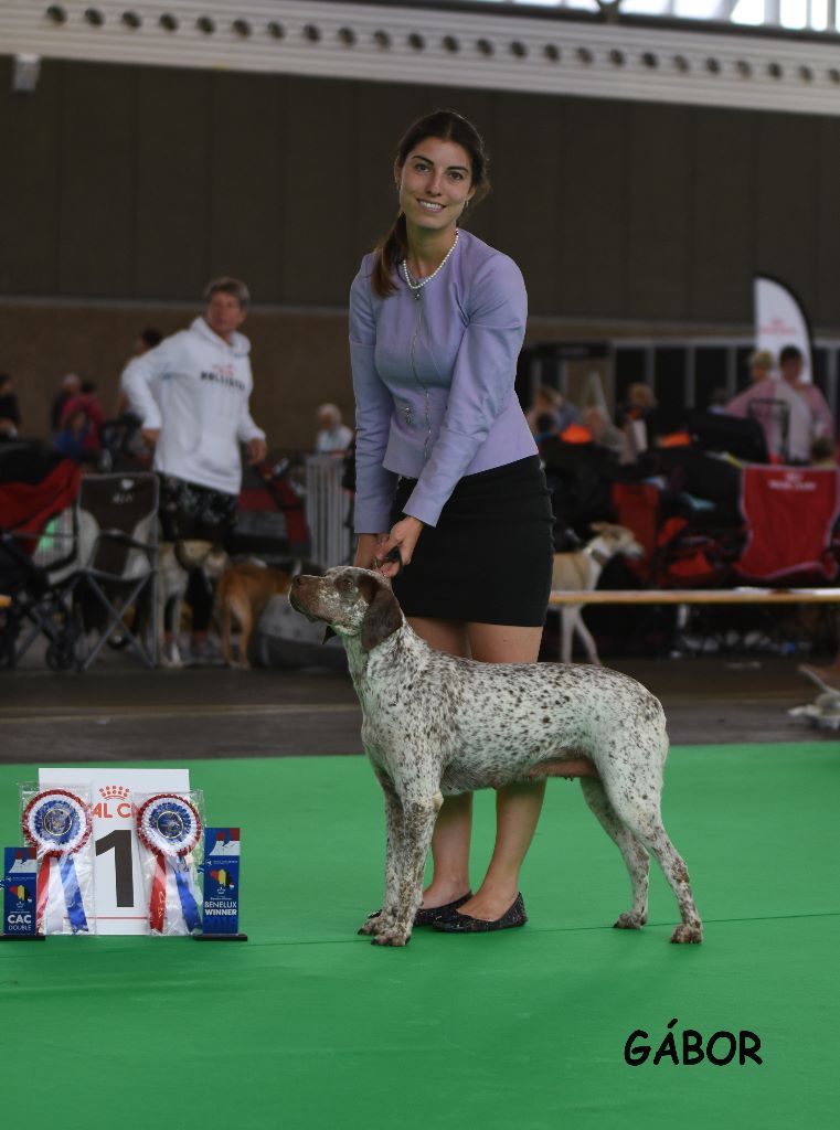 TR. CH. Jade De la benigousse - CTF 1 Exc.CAC CACIB Best Working Dog Best femelle Benelux Winner
