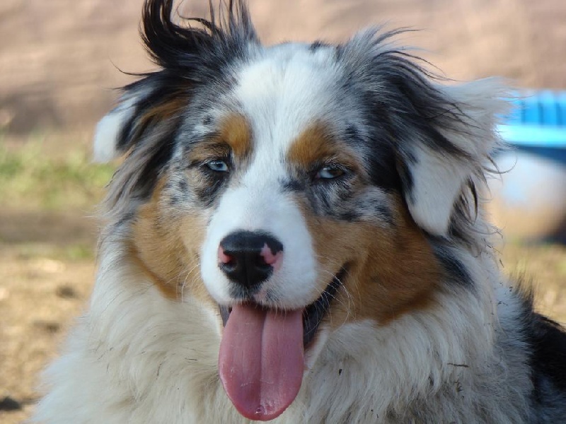 Publication : of Hanau's Lake Auteur : Elsa Borrego