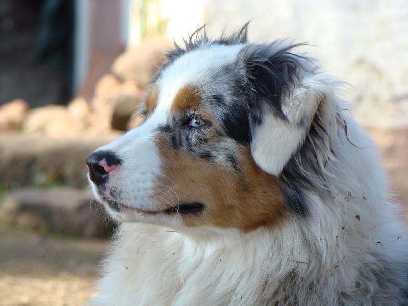 Publication : of Hanau's Lake Auteur : Elsa Borrego