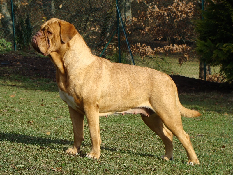 Publication : of Hanau's Lake Auteur : Elsa Borrego