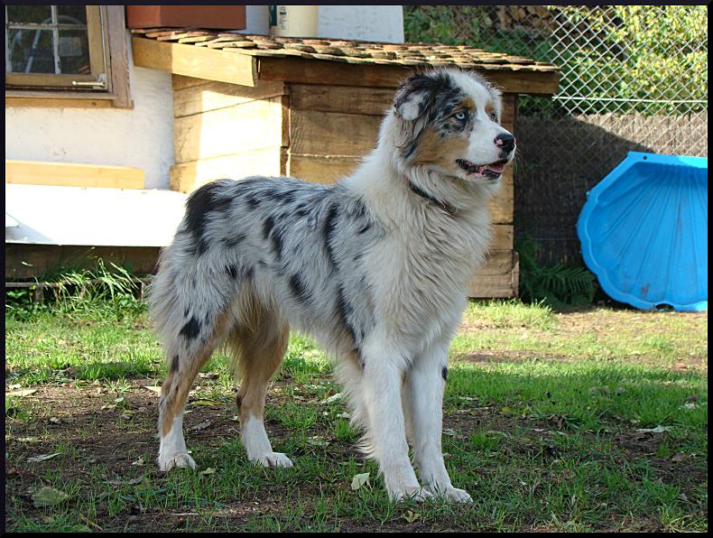 Publication : of Hanau's Lake Auteur : Elsa Borrego