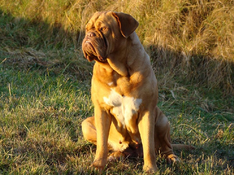 Publication : of Hanau's Lake Auteur : Elsa Borrego