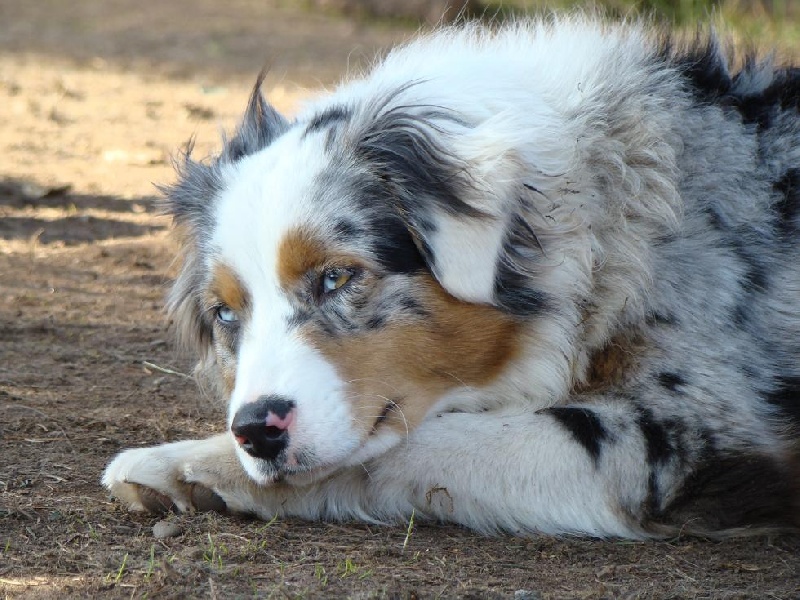 Publication : of Hanau's Lake Auteur : Elsa Borrego