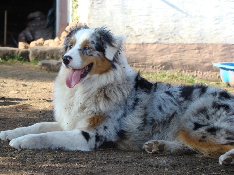 Publication : of Hanau's Lake Auteur : Elsa Borrego