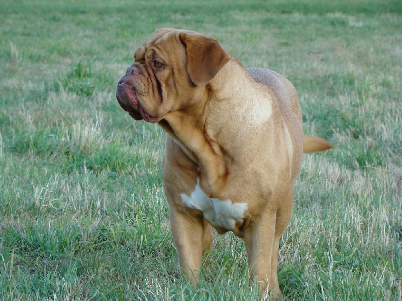 Publication : of Hanau's Lake Auteur : Elsa Borrego