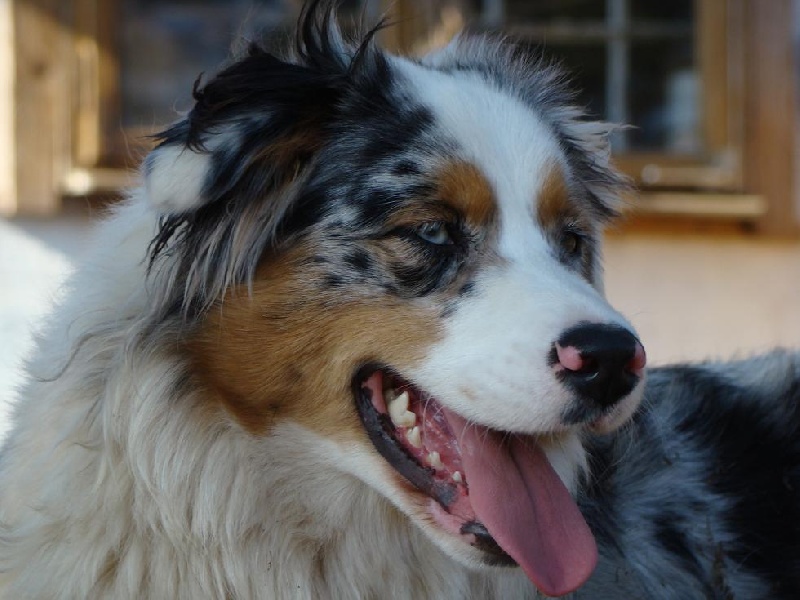 Publication : of Hanau's Lake Auteur : Elsa Borrego