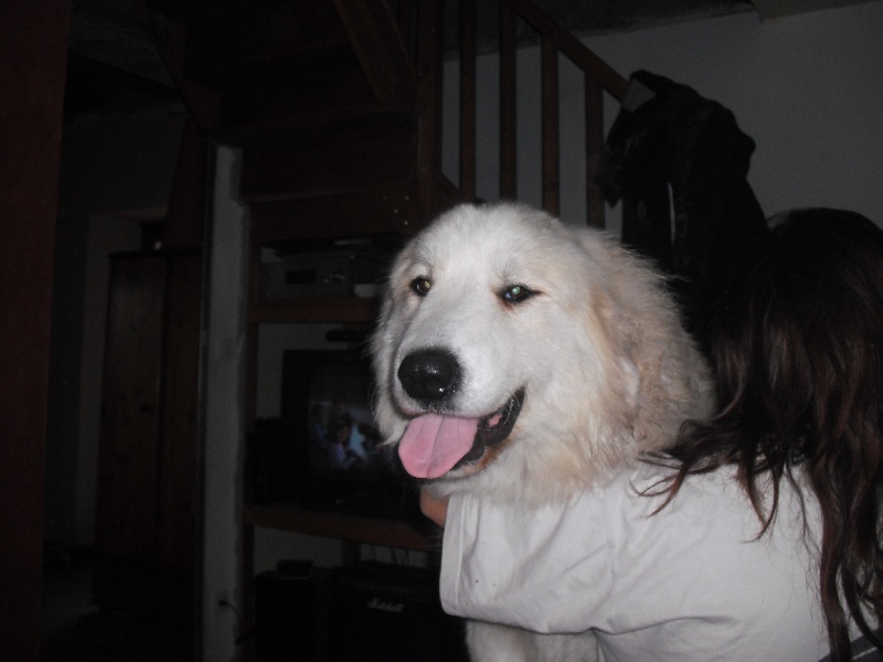 Publication : du Vieux Moulin de Coere