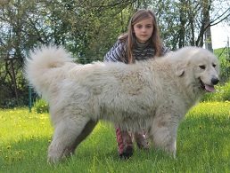 Publication : du Vieux Moulin de Coere