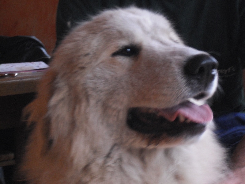 Publication : du Vieux Moulin de Coere