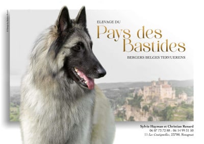 Du Pays Des Bastides