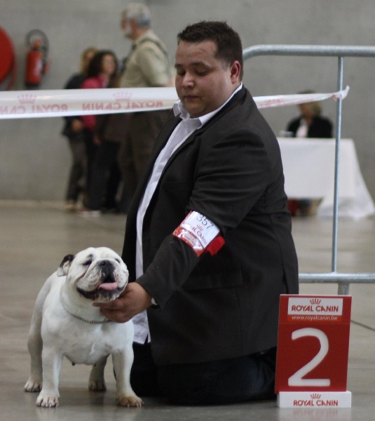 CH. Illona van Trod - classe ouverte - 2e EXCELLENT