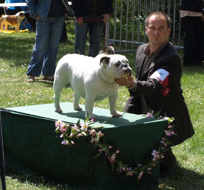 CH. Illona van Trod - classe jeune - EXCELLENT