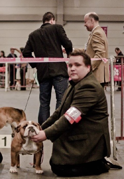 Bull's of Normandy Godiva's - 4e Tres Bon