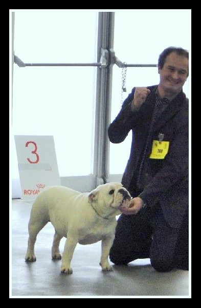 CH. Bull's of Normandy Gallak - 1ex CAC / CACIB / BOB