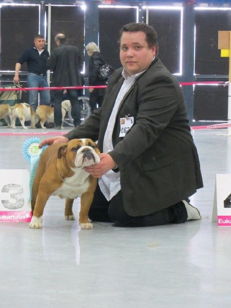 Bull's of Normandy Godiva's - 3e EXCELLENT