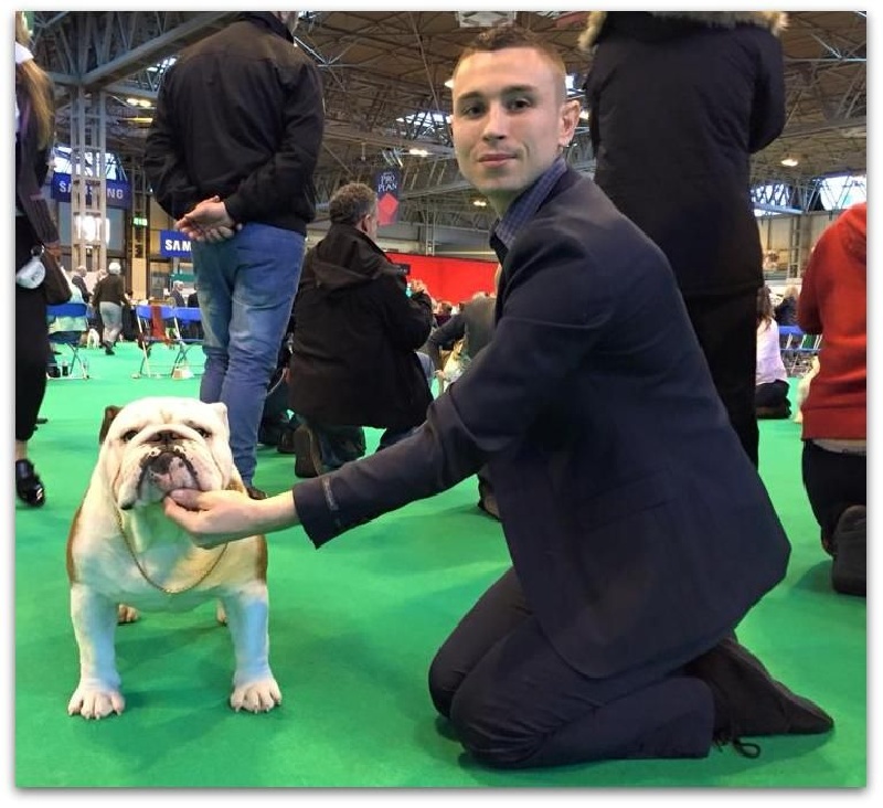 CH. Bull's of Normandy I'm tyson - SELECTIONNE PARMIS LES 6 MEILLEURS sur 29