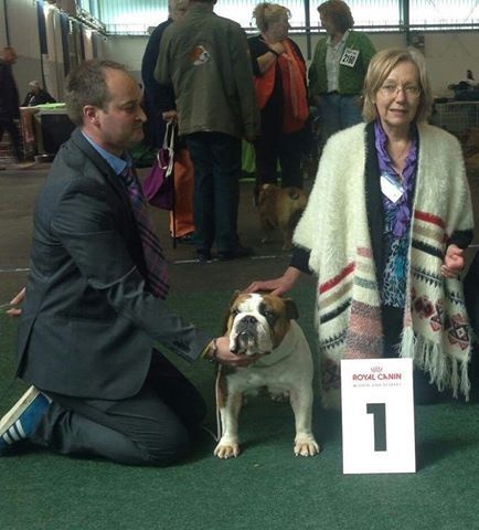 CH. Bull's of Normandy jzerba - 1er EX / VDH / CAC / CACIB / BEST OF BREED