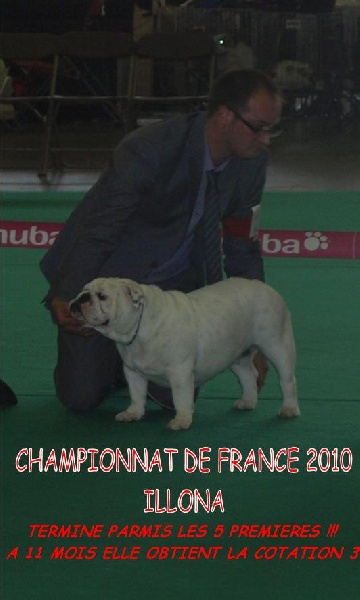 CH. Illona van Trod - classe jeune-EXCELLENT- Termine dans les 5 premieres