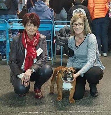 Bull's of Normandy Lara croft - 1er TRES PROMETTEUR / BEST BABY