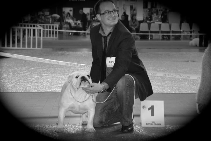 CH. Bull's of Normandy Gallak - 1 Ex/ Meilleur JEUNE/ Meilleur de RACE/ 2e du groupe 2