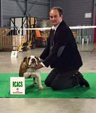 CH. Bull's of Normandy jzerba - 1 er EXCELLENT / RCACS