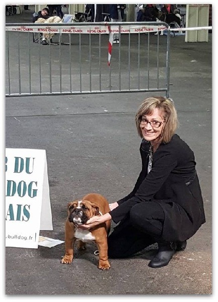 Bull's of Normandy Lara croft - 1er TRES PROMETTEUR / BEST BABY