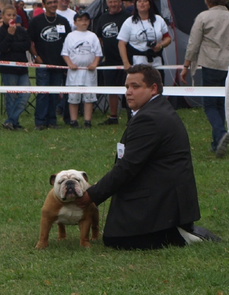 Curtis du Terroir du Gautereau - classe ouverte - 1er EXCELLENT RCACS