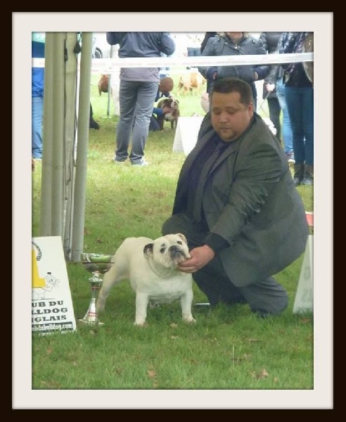 CH. Illona van Trod - 1er EXCELLENT / BEST CHAMPION FEMELLE