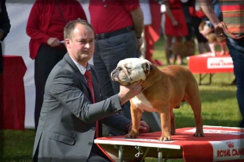 Curtis du Terroir du Gautereau - 2eme EXCELLENT