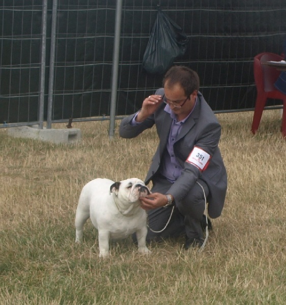 CH. Illona van Trod - classe jeune - 2eme EXCELLENT