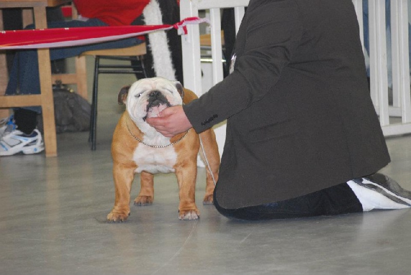Curtis du Terroir du Gautereau - Tres Bon