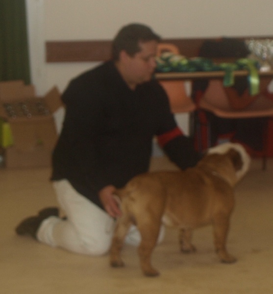 Curtis du Terroir du Gautereau - EXCELLENT