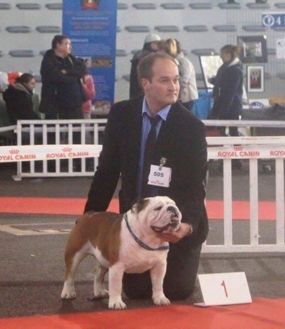 CH. Bull's of Normandy I'm tyson - 1er EXCELLENT / RCACS / RCACIB