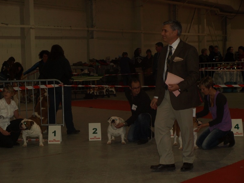 CH. Illona van Trod - classe inter-2 eme excellent