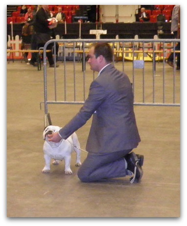 CH. Illona van Trod - 1er EXCELLENT / RCACIB